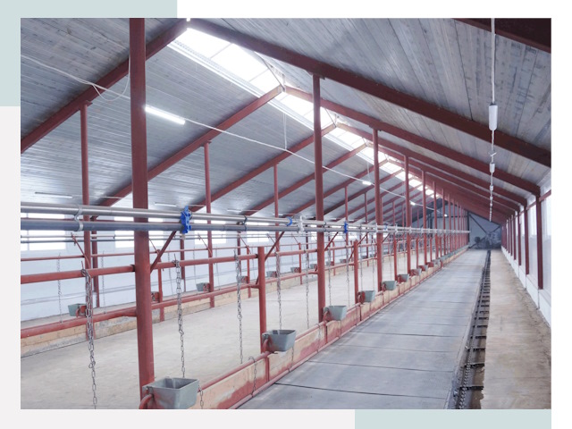 Строительство коровников в Мирном от 607 руб.