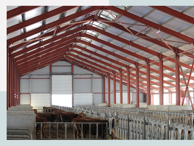 Строительство коровников в Мирном