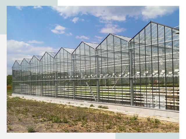 Строительство теплиц в Мирный от 607 руб. за м²